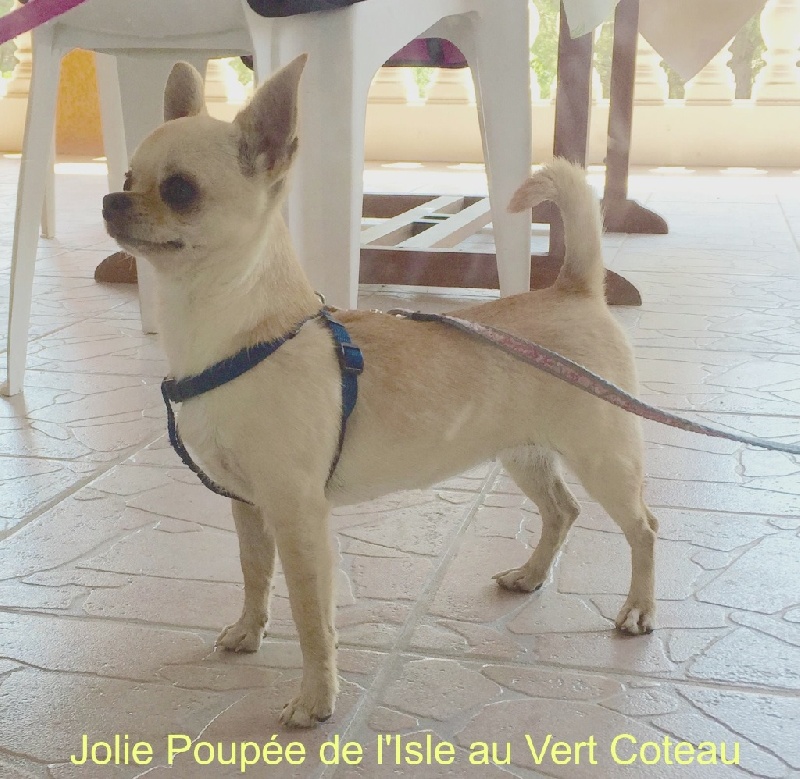 Jolie poupée De L'isle Au Vert Coteau