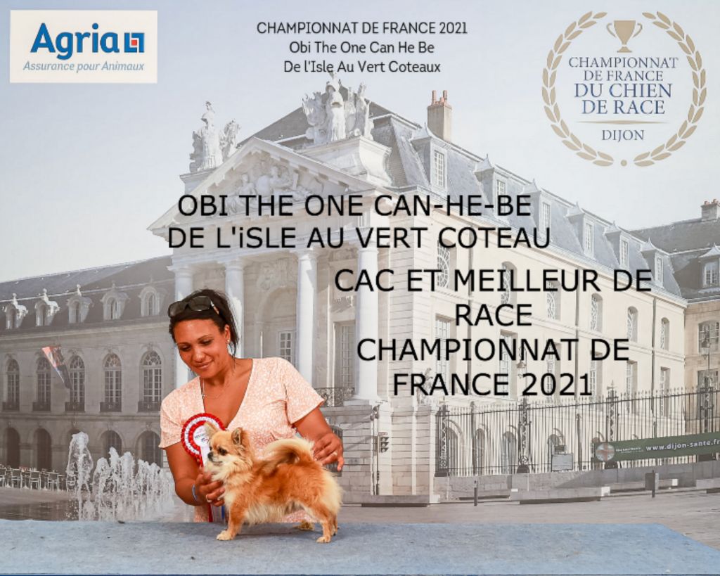 Obi the one can-he-be De L'isle Au Vert Coteau