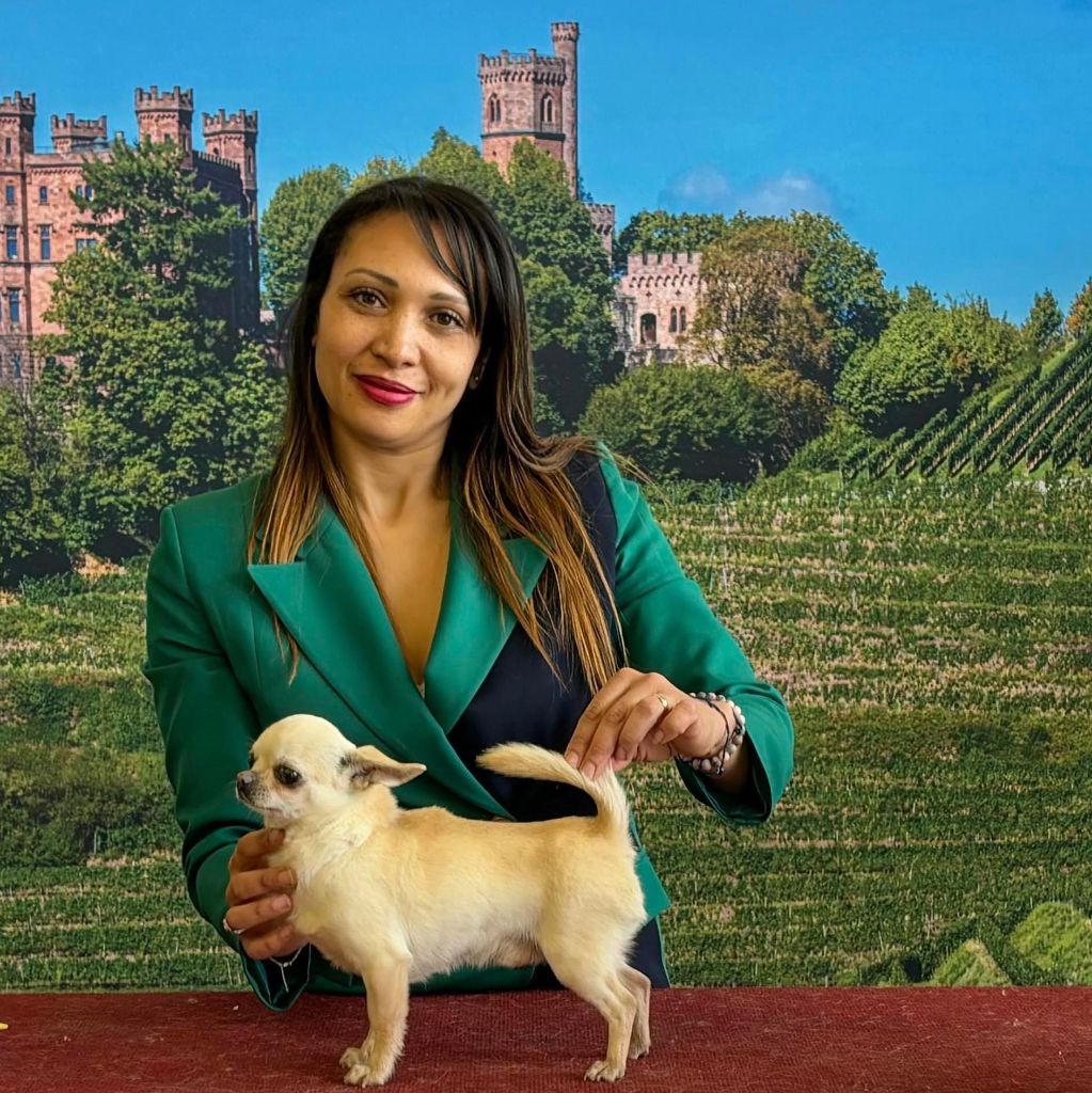 CH. Rio eclats De L'isle Au Vert Coteau